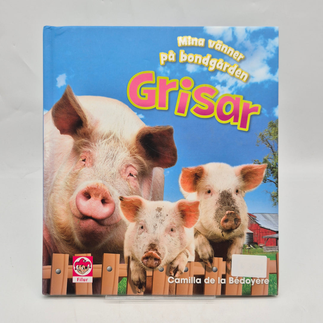 Grisar barnbok Filur färgglad faktabok