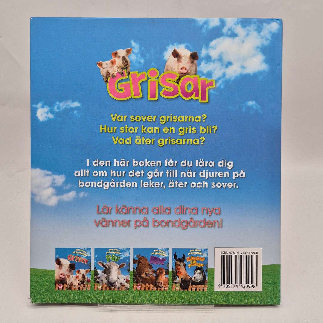 Grisar barnbok Filur färgglad faktabok