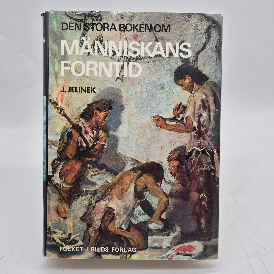 Den stora boken om människans forntid retro