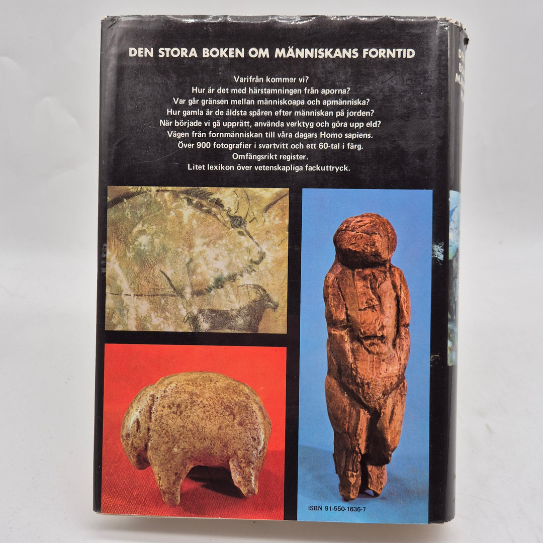 Den stora boken om människans forntid retro