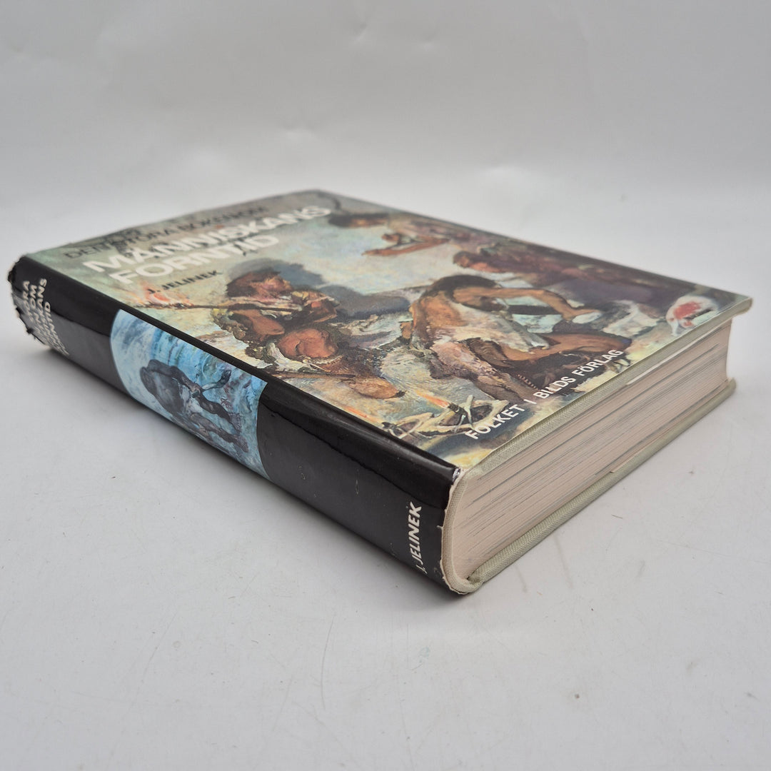 Den stora boken om människans forntid retro