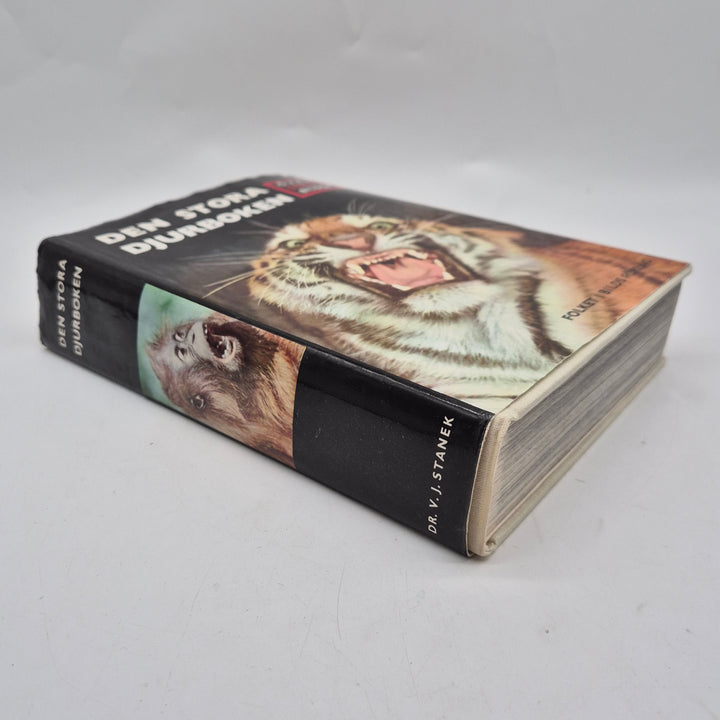 Retro faktabok Den stora djurboken vintage