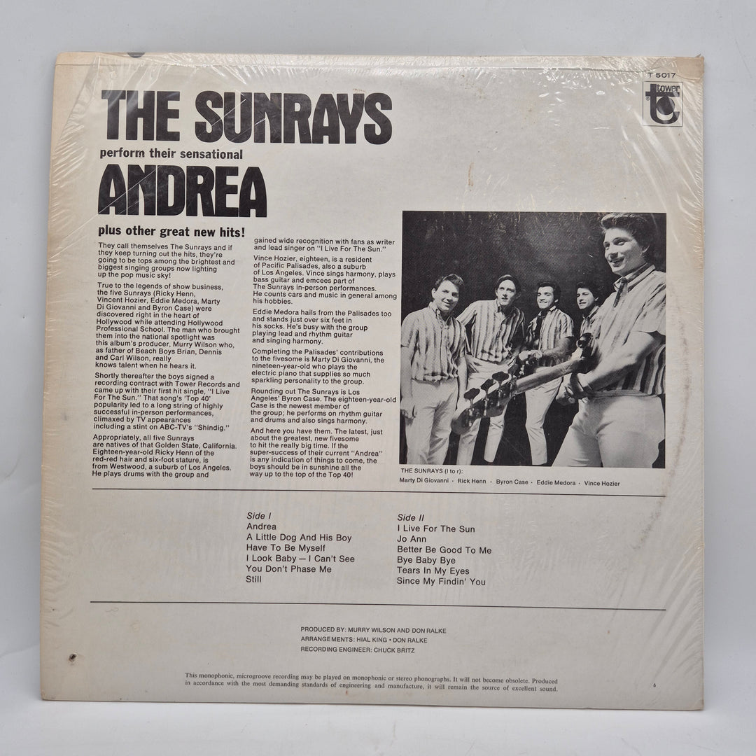 The Sunrays Andrea retro vinyl LP