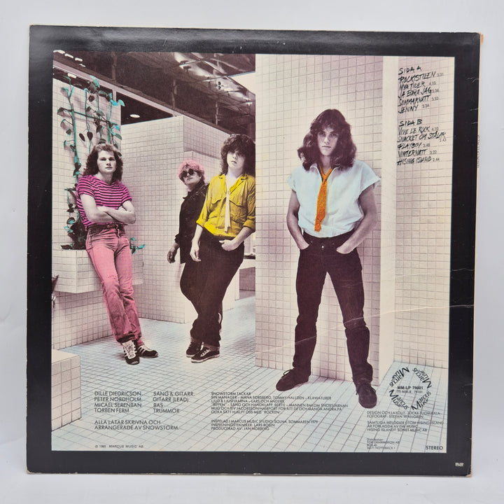 Snowstorm retro vinyl LP 1980-tal