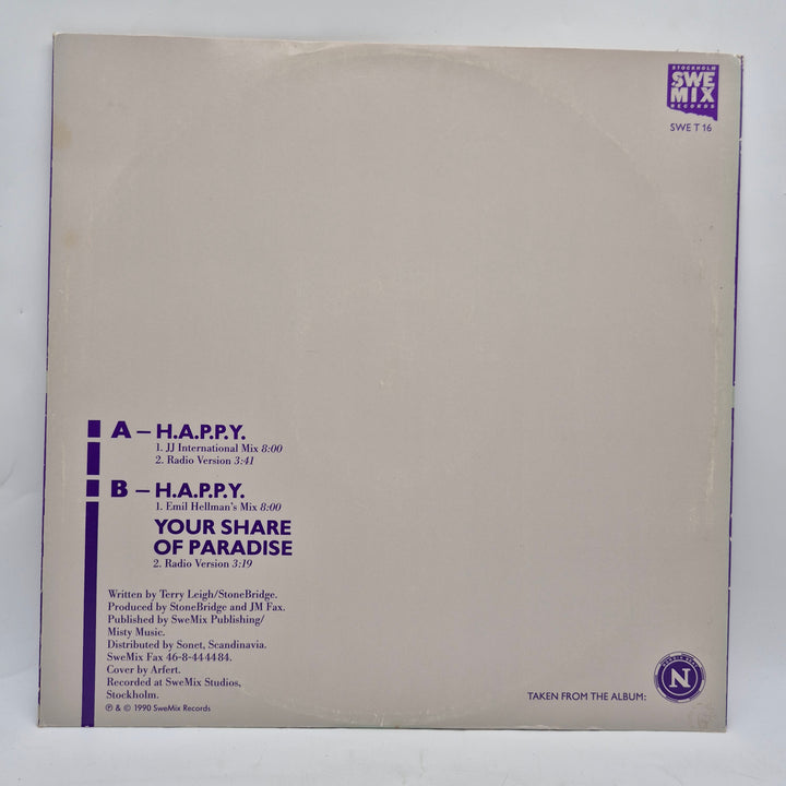 Retro 12 tums vinyl Terry Leigh SweMix