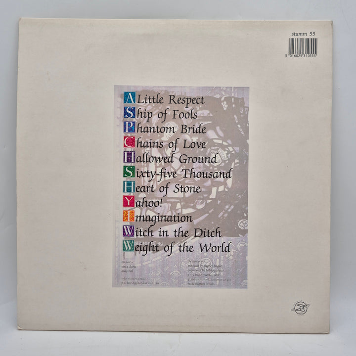 Erasure The Innocents retro LP vinyl