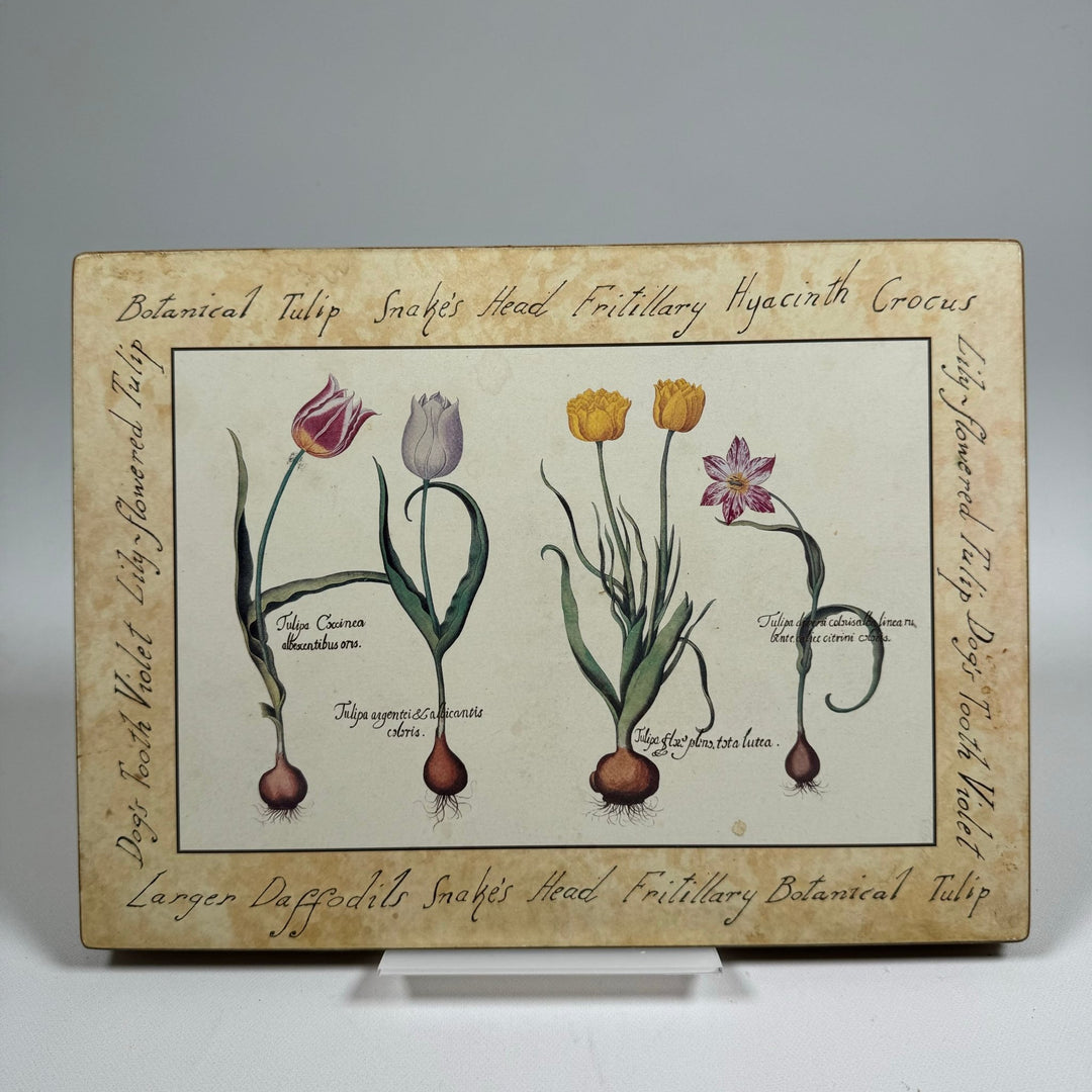 Vintage Botaniska Planscher med Handstilad Text 28x21 cm - Homy Secondhand Online
