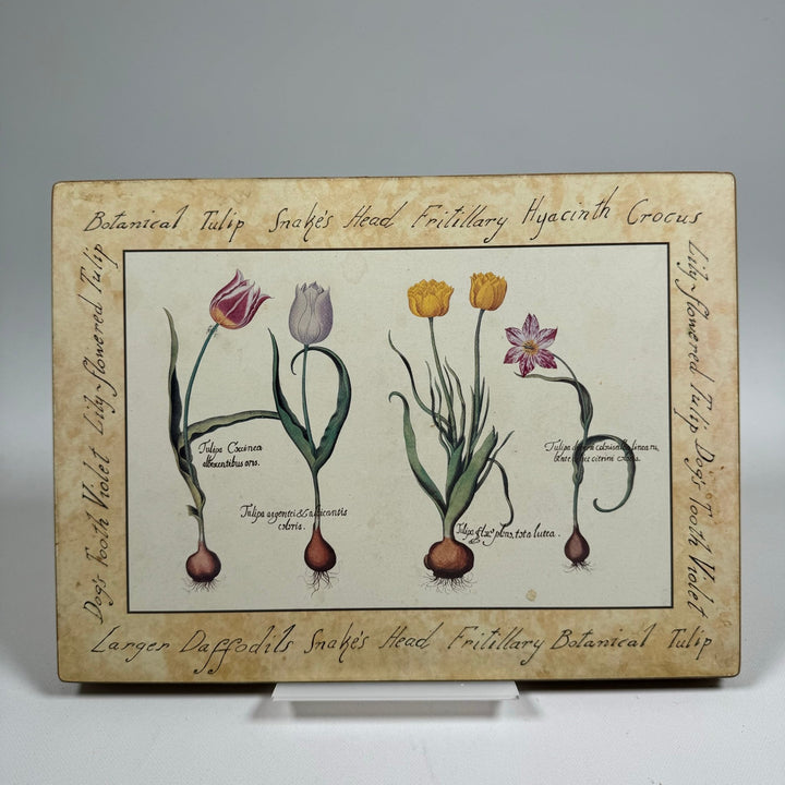 Vintage Botaniska Planscher med Handstilad Text 28x21 cm - Homy Secondhand Online