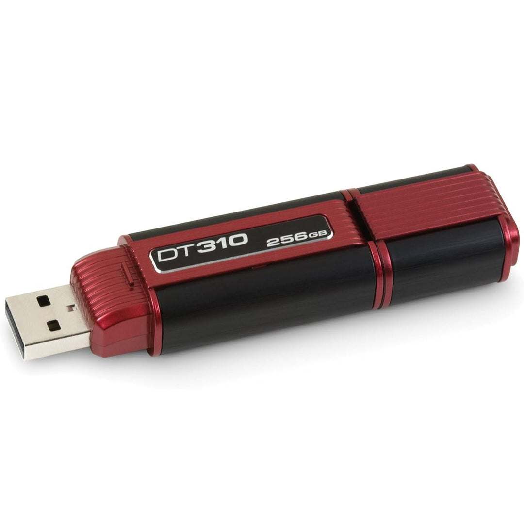 Kingston DataTraveler 310 DT310/256GB - Homy Secondhand Online