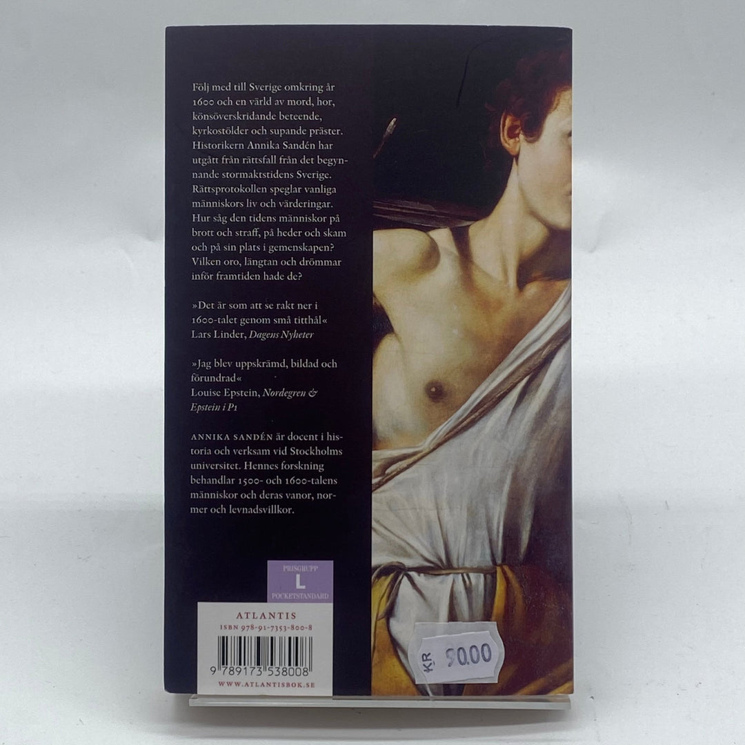 Historisk bok Missdådare av Annika Sandén - Homy Secondhand Online