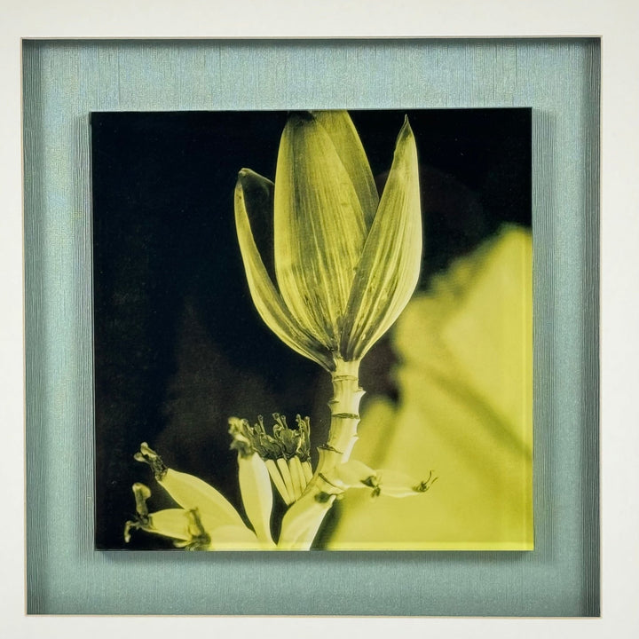 Elegant Blomma i Stilren Ram – Inramad Konst Fotografi - Homy Secondhand Online