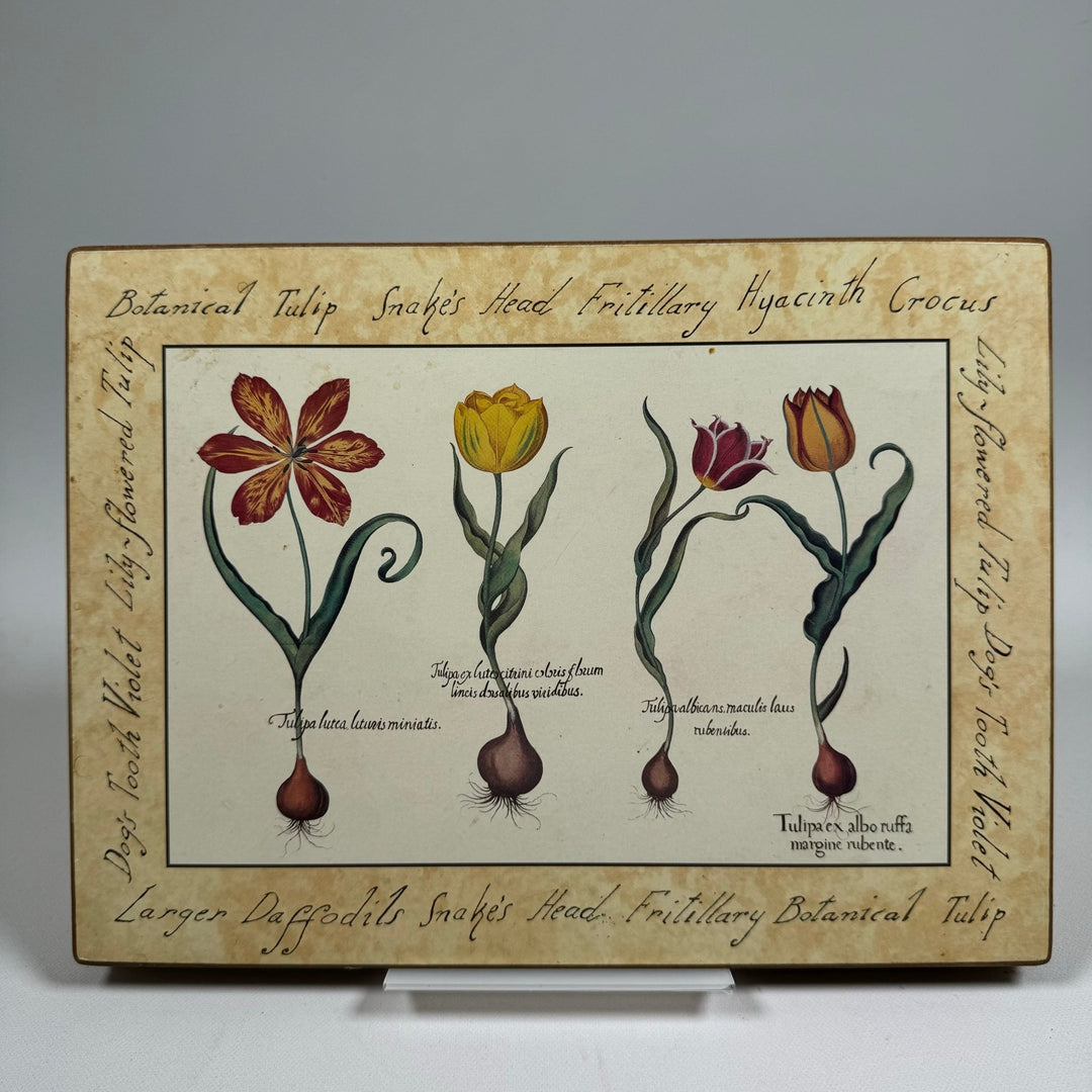 Vintage Botaniska Planscher med Handstilad Text 28x21 cm - Homy Secondhand Online