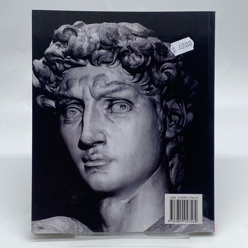 Michelangelo mini konstguide i färg - Homy Secondhand Online