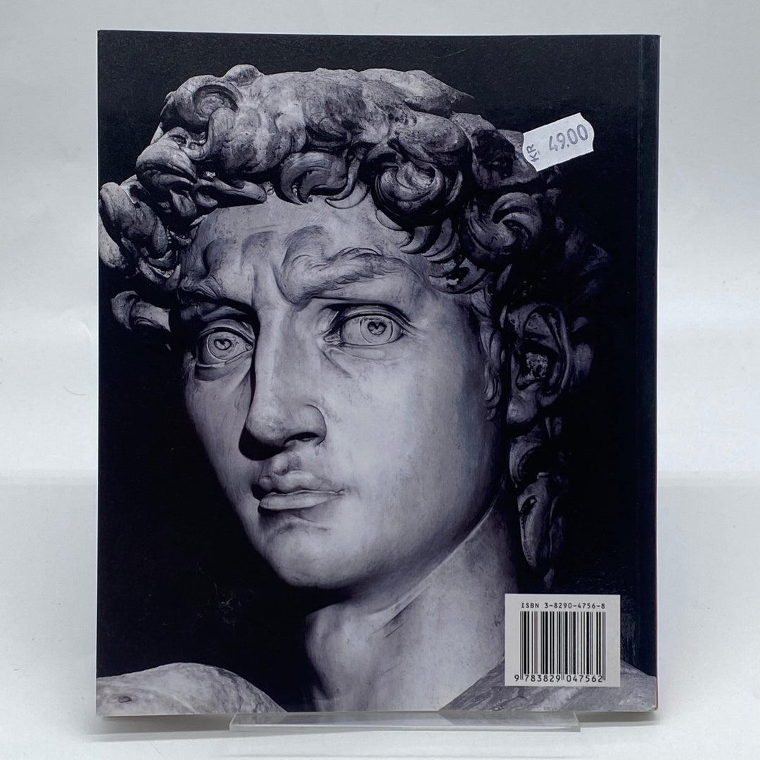 Michelangelo mini konstguide i färg - Homy Secondhand Online