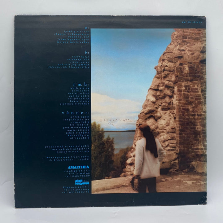 Dan Hylander & Raj Montana Band vinylskiva - Homy Secondhand Online