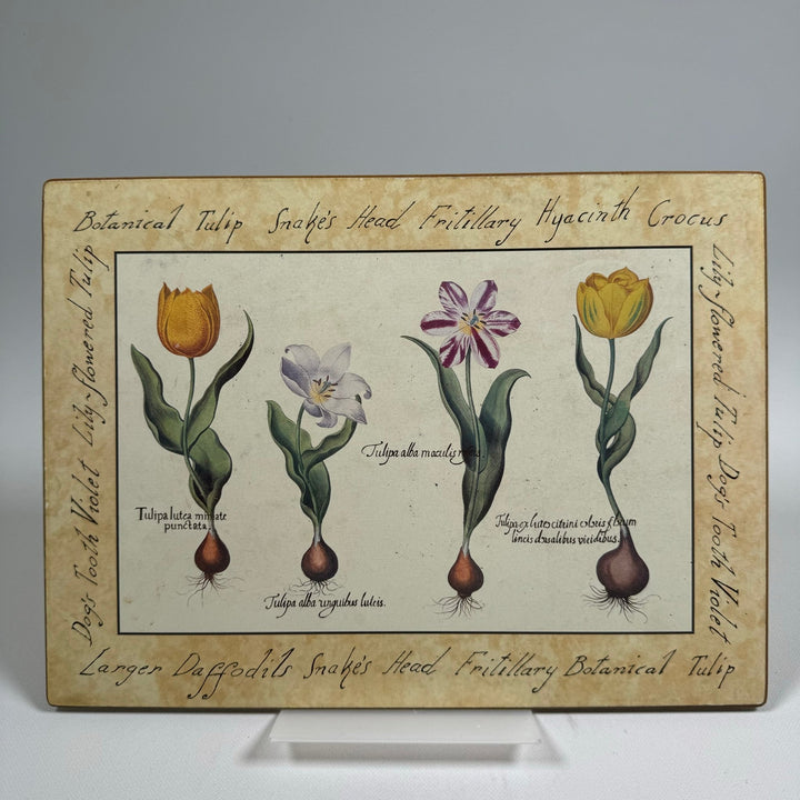 Vintage Botaniska Planscher med Handstilad Text 28x21 cm - Homy Secondhand Online