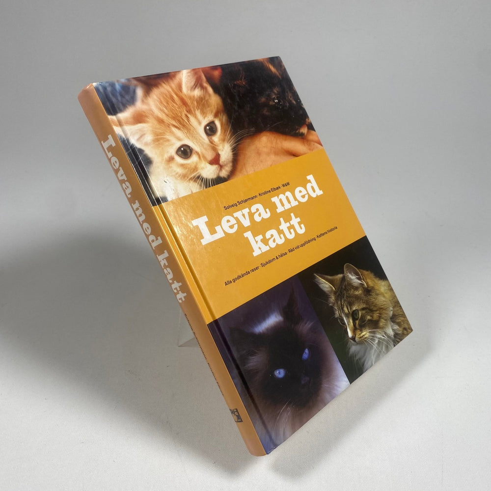 Leva med katt: guide för kattälskare - Homy Secondhand Online