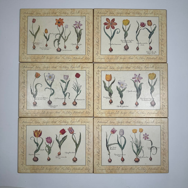 Vintage Botaniska Planscher med Handstilad Text 28x21 cm - Homy Secondhand Online