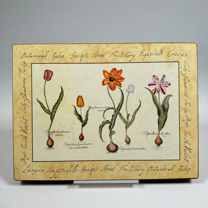 Vintage Botaniska Planscher med Handstilad Text 28x21 cm - Homy Secondhand Online
