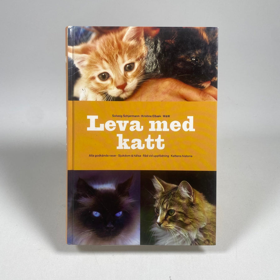 Leva med katt: guide för kattälskare - Homy Secondhand Online