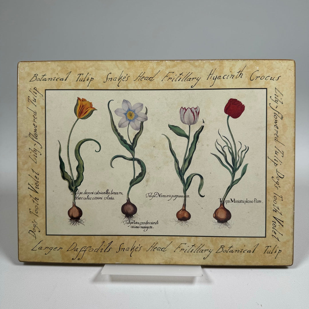 Vintage Botaniska Planscher med Handstilad Text 28x21 cm - Homy Secondhand Online