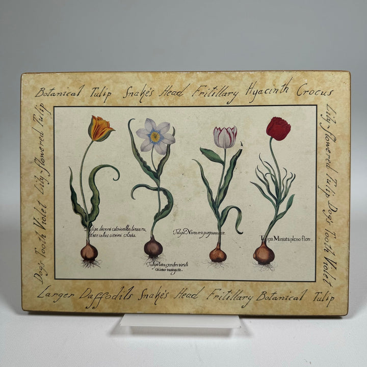Vintage Botaniska Planscher med Handstilad Text 28x21 cm - Homy Secondhand Online