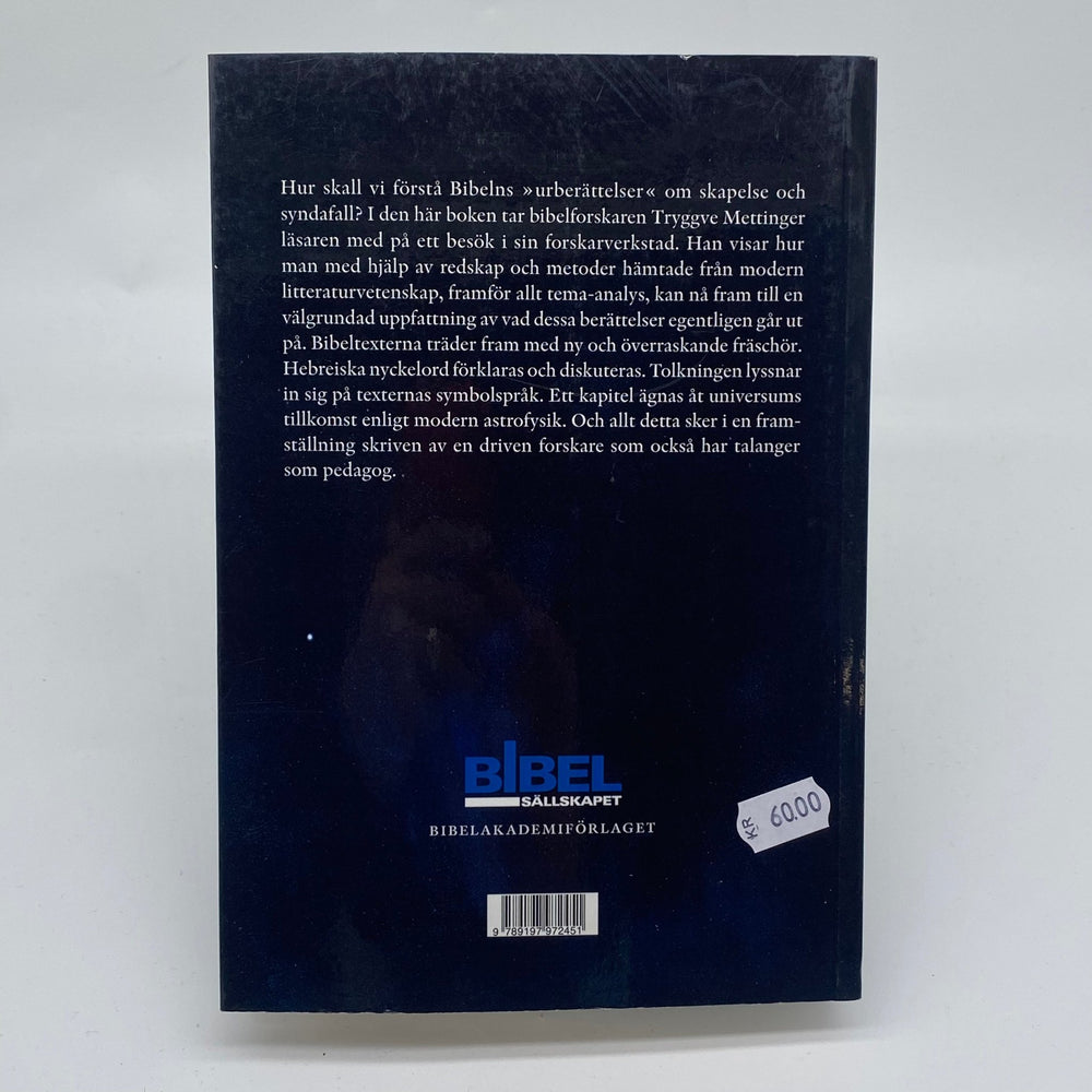 Modernt Perspektiv på Bibliska Berättelser - Homy Secondhand Online