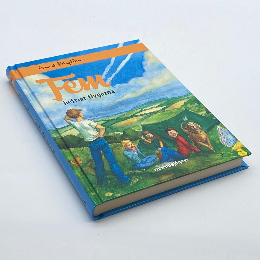 Enid Blyton Fem befriar flygarna bok