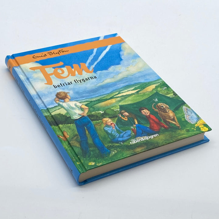 Enid Blyton Fem befriar flygarna bok