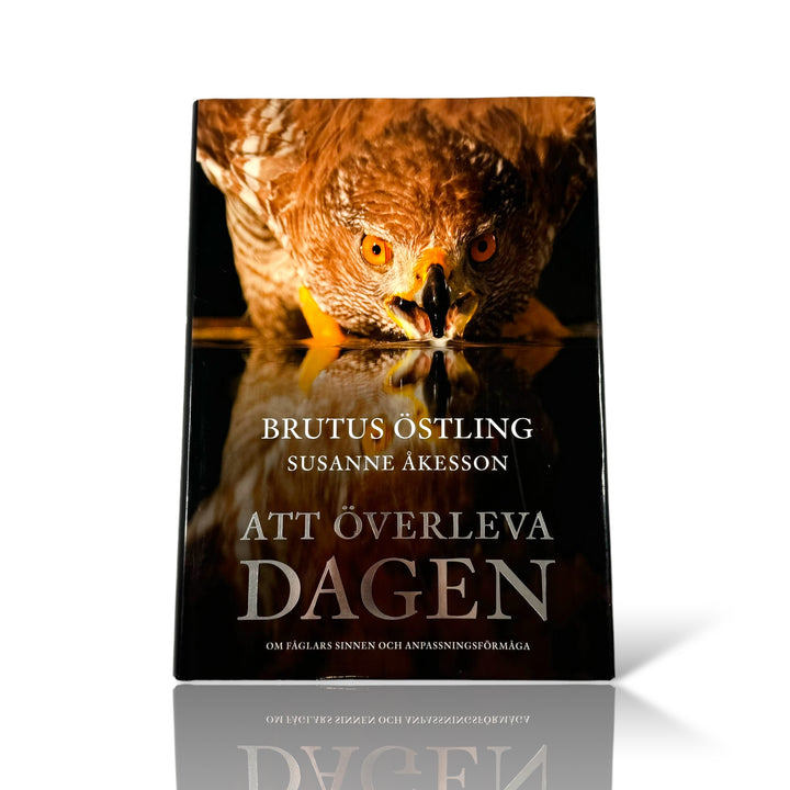 Att överleva dagen av Brutus Östling och Susanne Åkesson