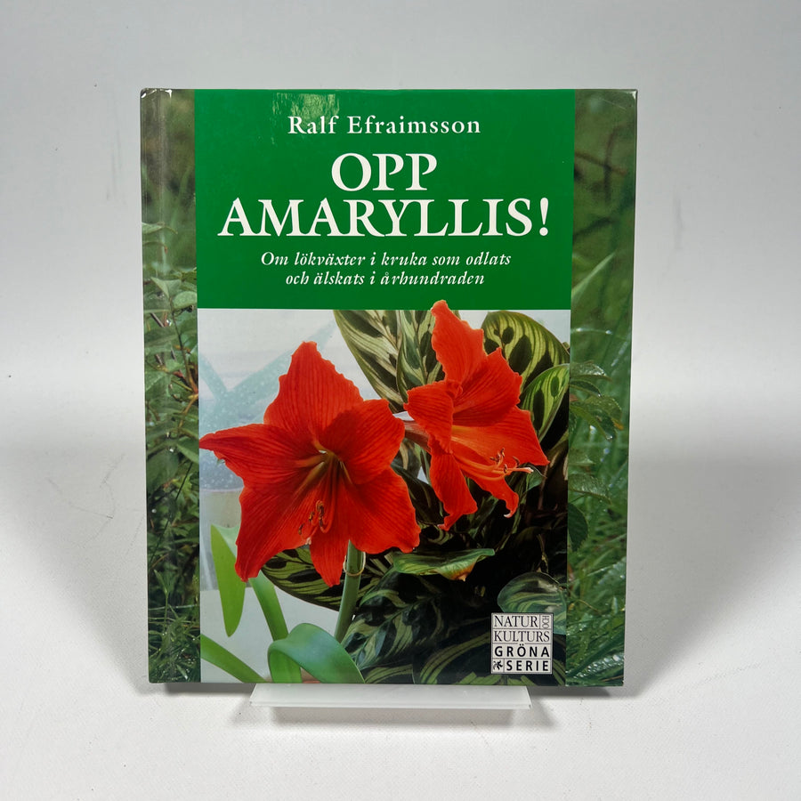 Utforska Amaryllis: Historia och odling