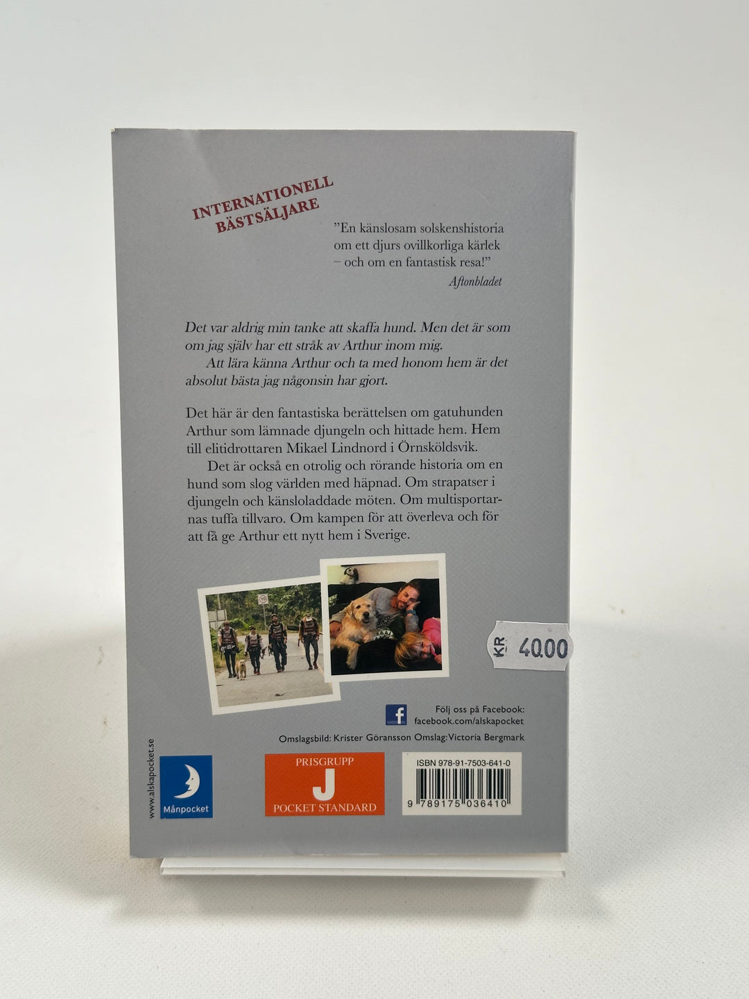 Arthur - Gatuhunden som lämnade djungeln och hittade hem