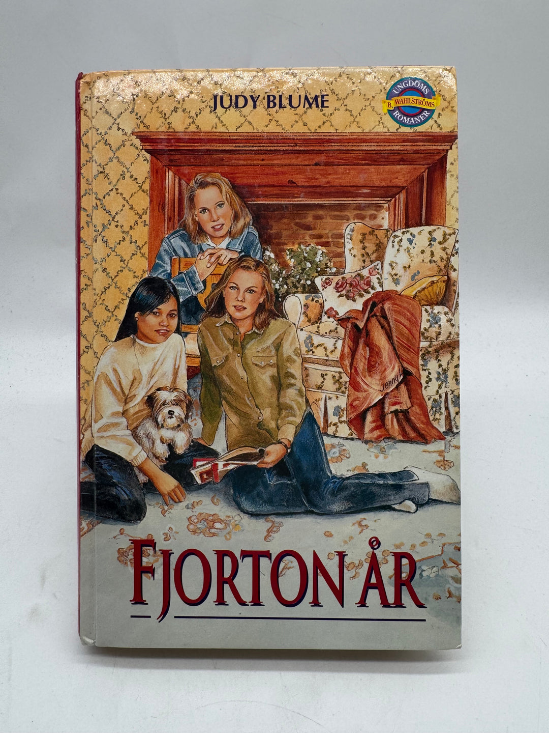 Retro ungdomsbok Judy Blume Fjorton år