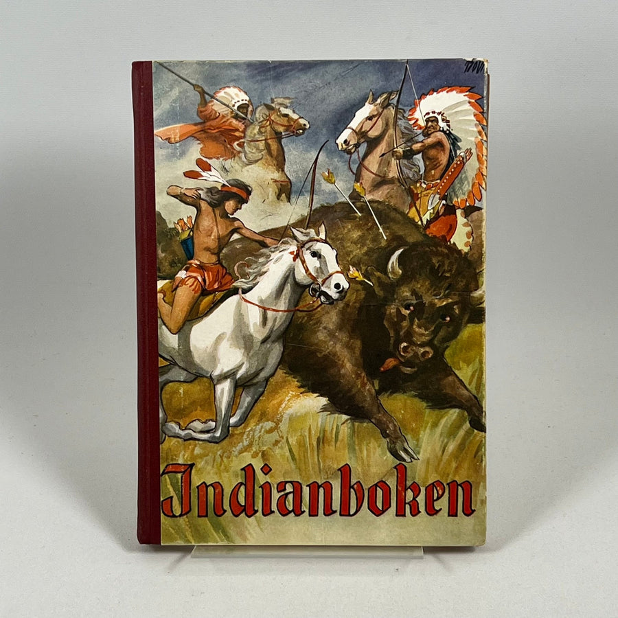 Färgrik Illustrerad Bok om Indiankultur - Homy Secondhand Online