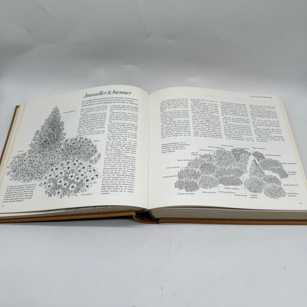 Vackrare Trädgård Inspirerande Bok Begagnad