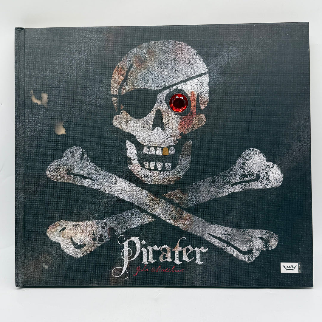 Pirater illustrerad faktabok barn Damm förlag