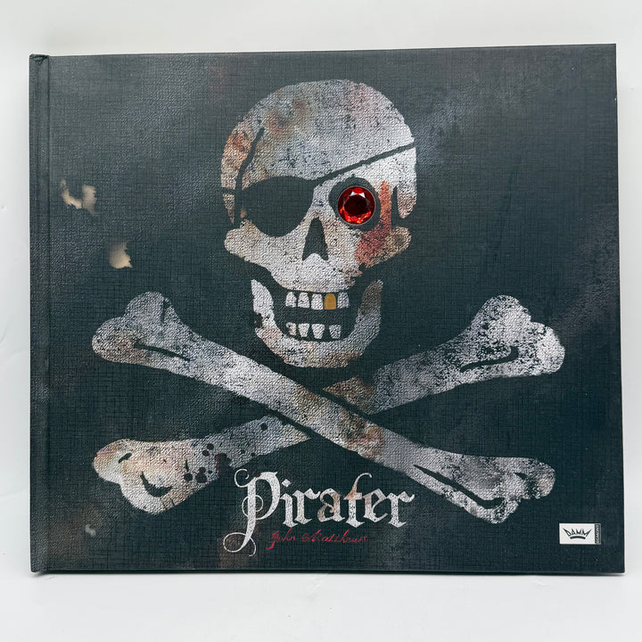 Pirater illustrerad faktabok barn Damm förlag
