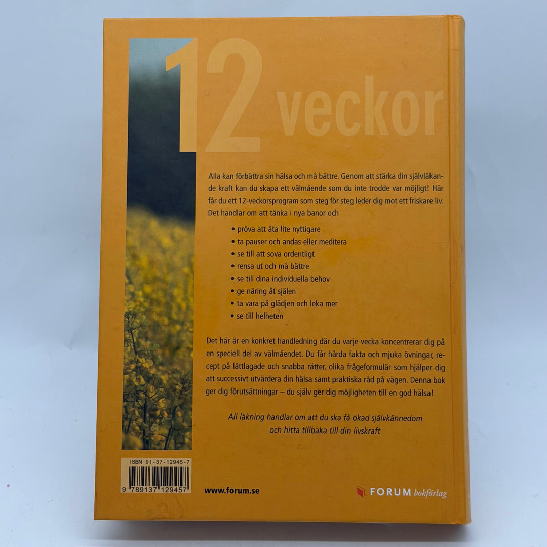 Självhjälpsbok hälsa 12 veckor Sanna Ehdin