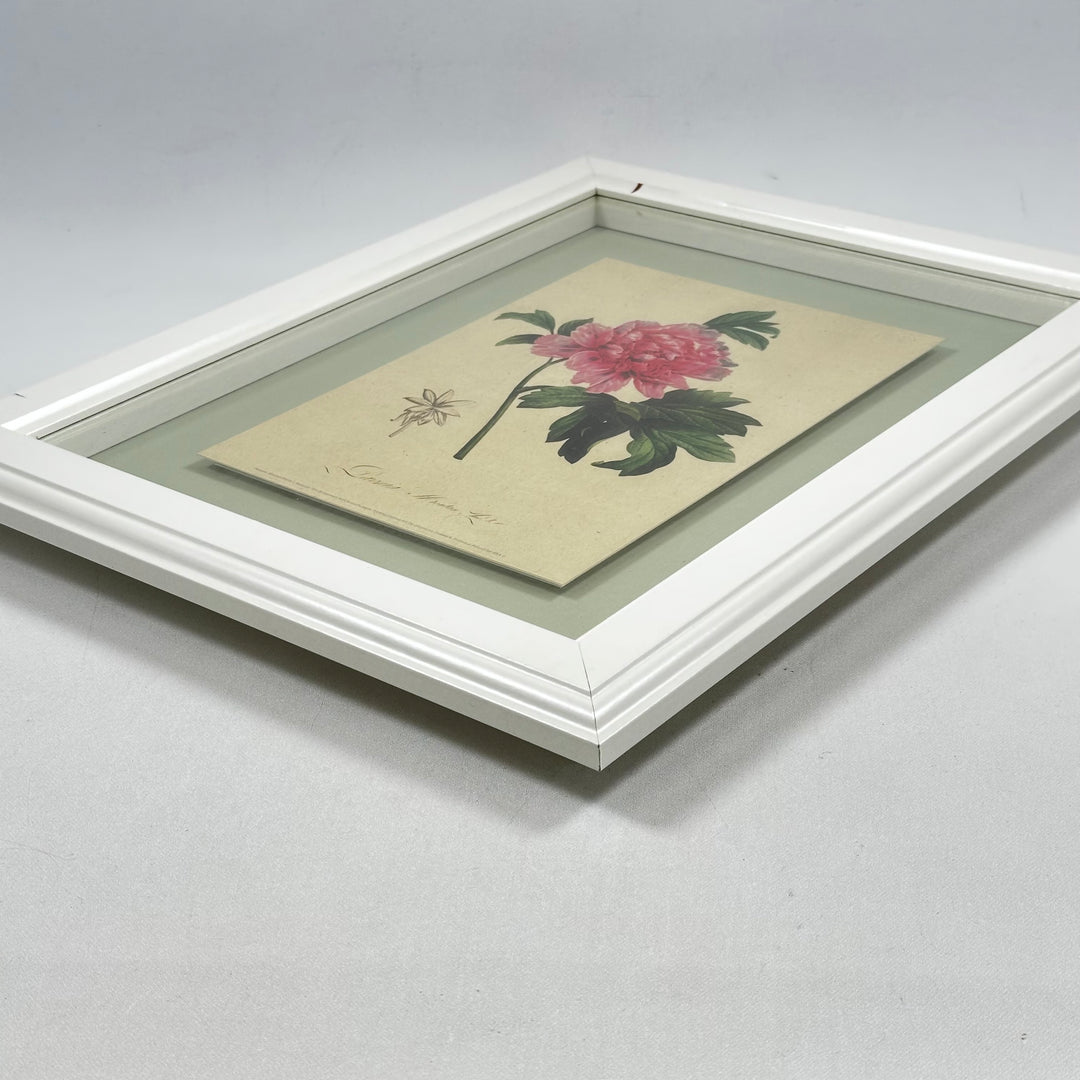 Vintage inramad blomsterillustration med vit träram