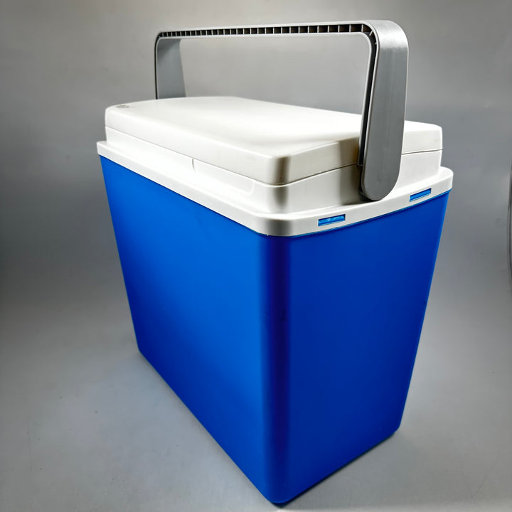 Blåvit charmig kylbox för utflykter