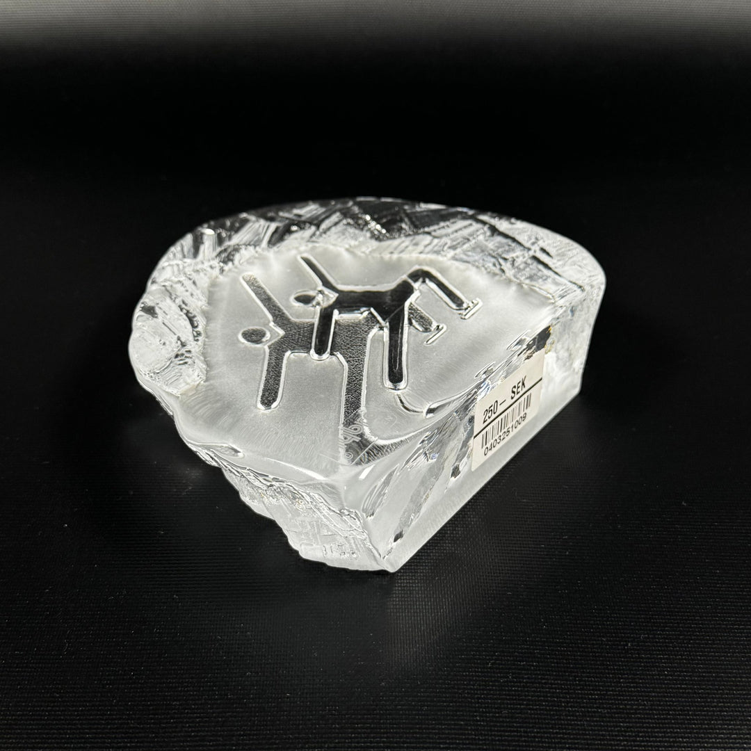 Nybro Crystal ishockeyspelare i glas