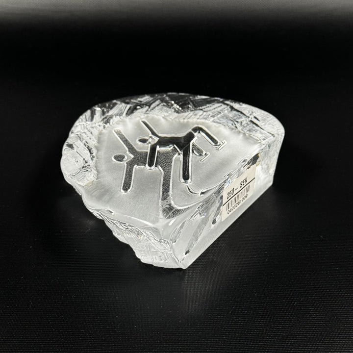 Nybro Crystal ishockeyspelare i glas