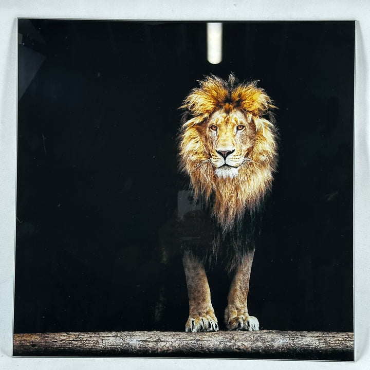 Majestätisk lejonposter i minimalistisk ram
