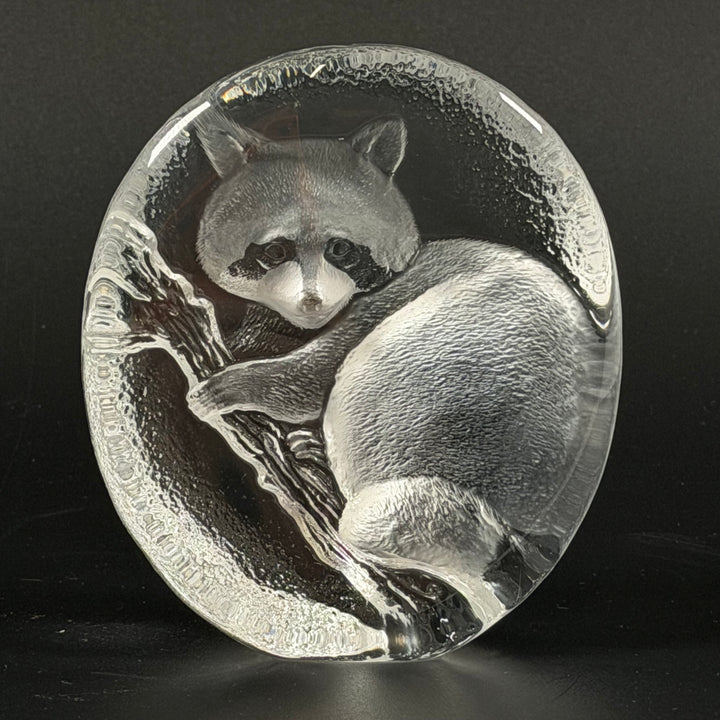 Unik glasfigur tvättbjörn WWF-Svenskt Glas