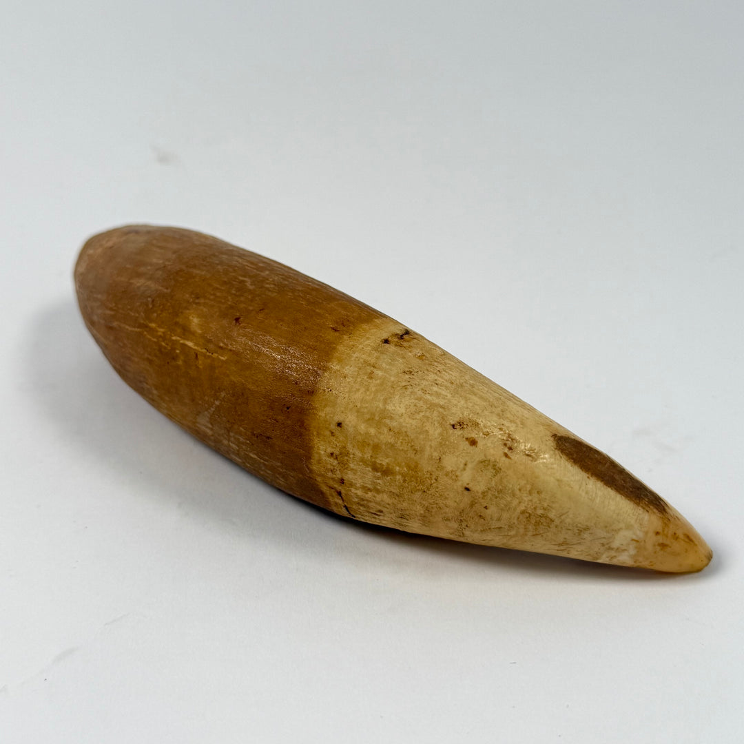 Retro dekorhorn i naturhorn med patina