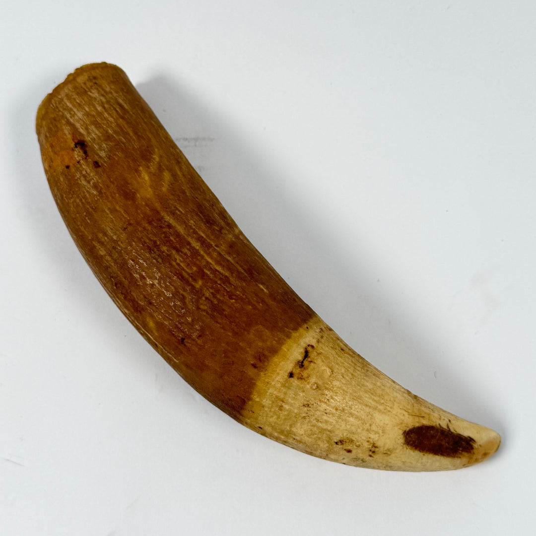 Retro dekorhorn i naturhorn med patina