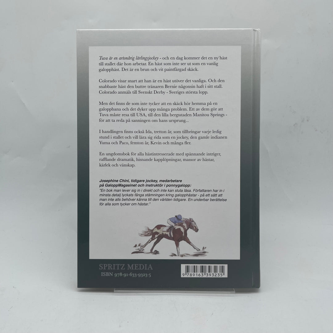 Fängslande roman Colorado av Helena Mansén