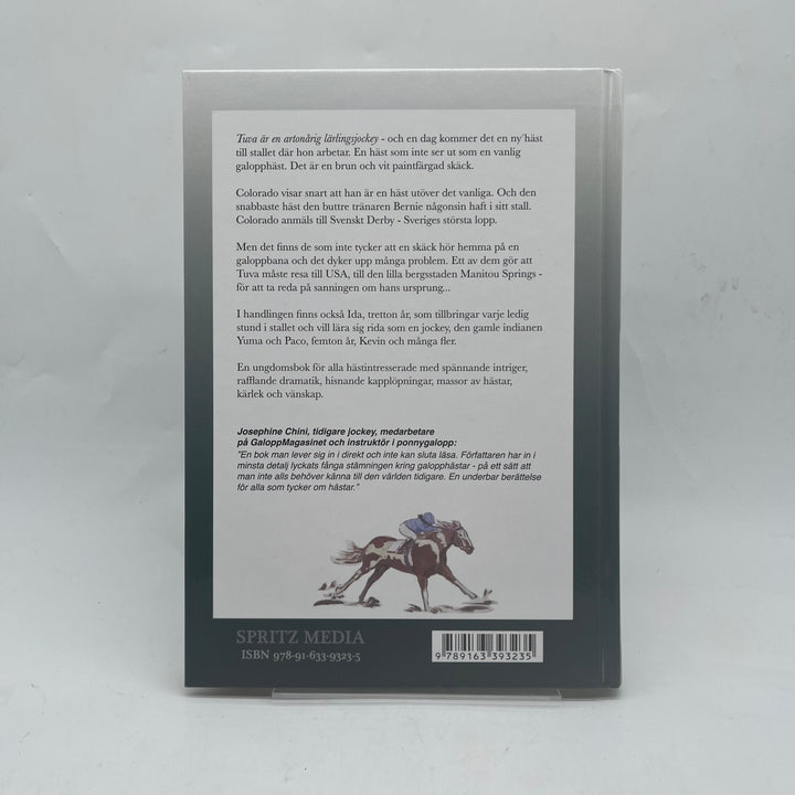 Fängslande roman Colorado av Helena Mansén