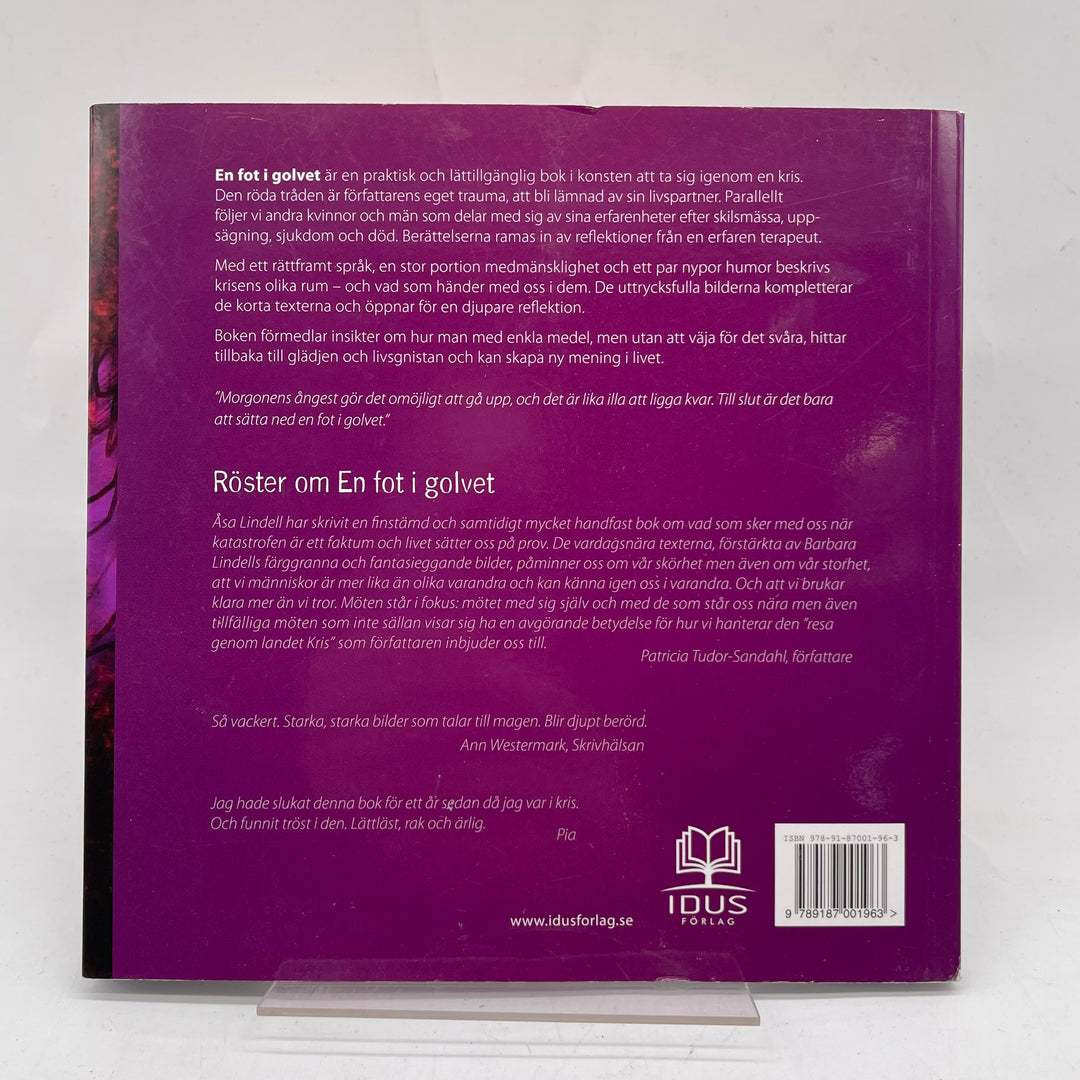 Modern bok av Åsa Lindell från IDUS Förlag