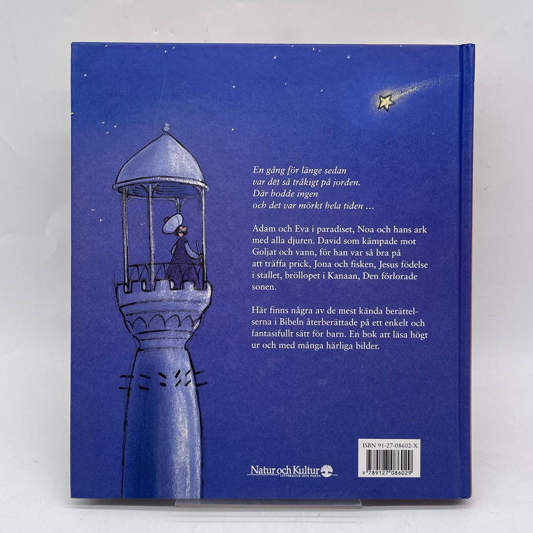 Illustrerad Barnbok Noas Ark Klassiska Berättelser